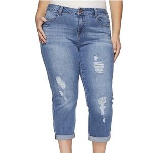 Liverpool - Cropped Boyfriend Distressed Stretch Blue Denim Jeans  - 24W 3x